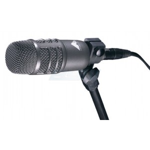 AE2500, Инструментальные микрофоны
