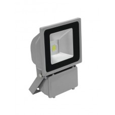 EUROLITE LED IP FL-100 COB 3000K 120° 