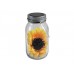 EUROLITE LED Solar Jar L 