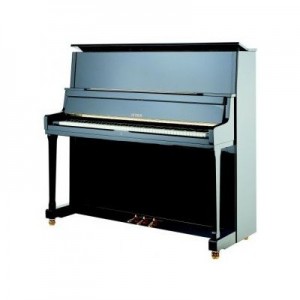 Petrof P 131E1(0801)  пианино, цвет черный, полированное, PETROF