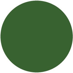 SHOWTEC Color Sheet 124 Dark Green High Temperature 61x53cm