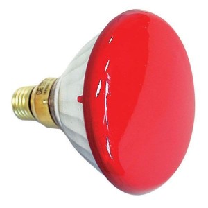 SHOWTEC Par 38 230V 90W E27  Red Flood