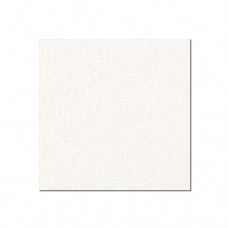 0471 G - Birch Plywood Plastic-Coated with Stabilising Foil white 6.9 mm