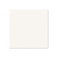 0491 G - Birch Plywood Plastic-Coated with Stabilising Foil white 9.4 mm