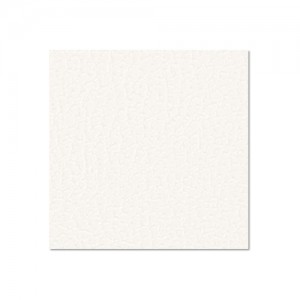 0491 G - Birch Plywood Plastic-Coated with Stabilising Foil white 9.4 mm, ADAM HALL