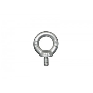 Ring Screw M10, SEEBURG